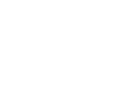logo blanc arielle carnus logo blanc arielle carnus